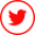 gallery/twitter-circular-button